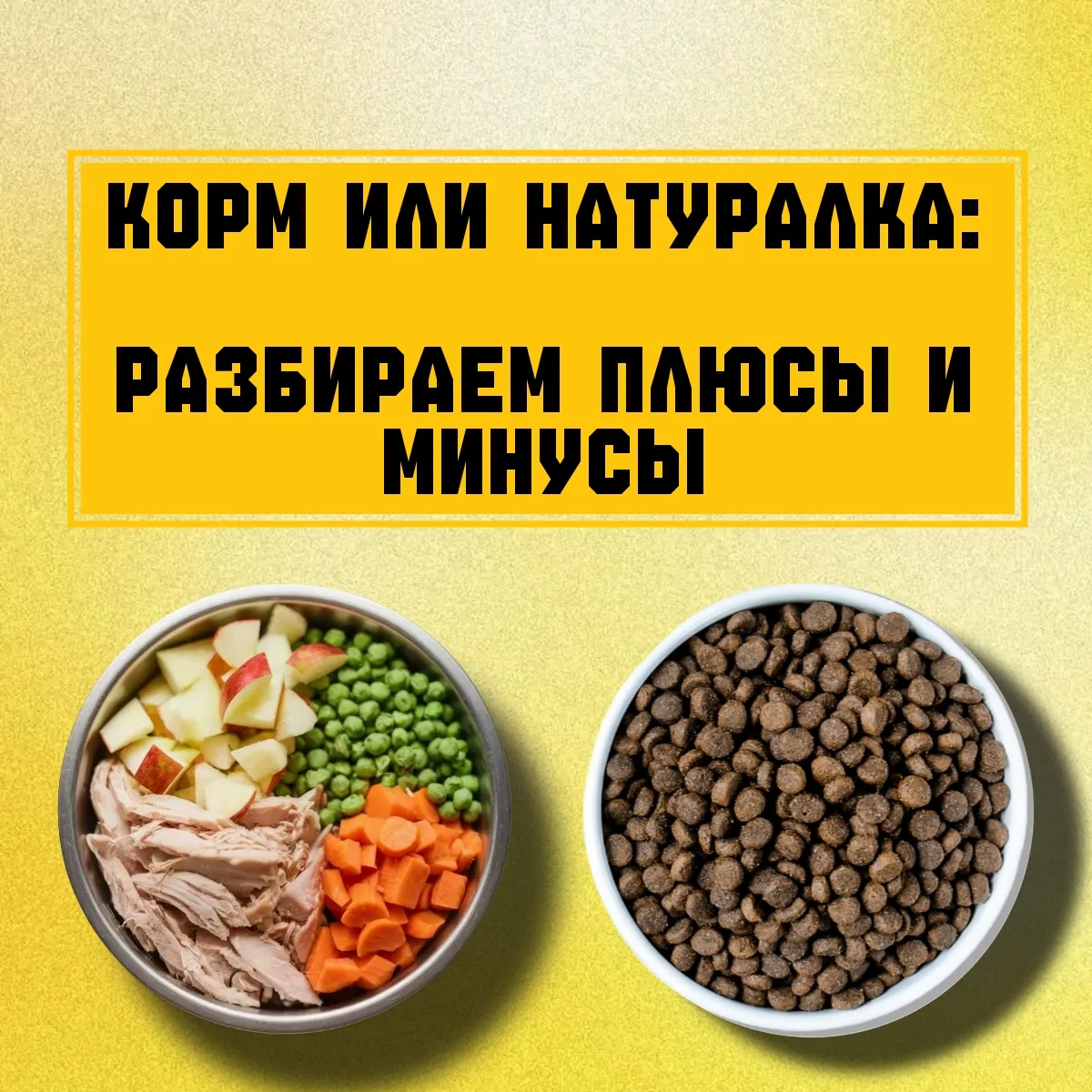Натуралка или корм — вопрос, который вызывает жаркие споры среди владельцев уже много лет.