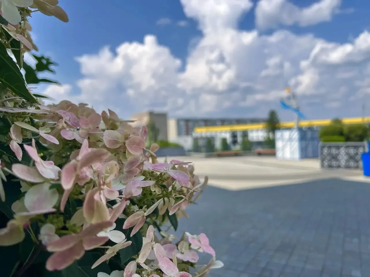 УРА, ПЯТНИЦА 🎉

Дорогие жители! Желаем вам прекрасных, спокойных и наполненных приятными моментами 