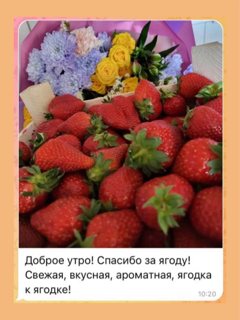 🍓 Продолжаем сбор заказов на клубнику и арбузы 🍉  Сезон набирает обороты… И мы продолжаем принимать 