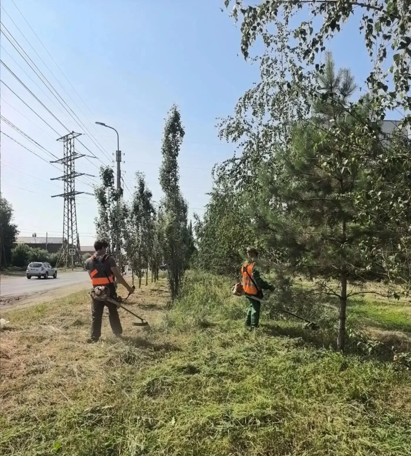 В Омске продолжаются работы по выкашиванию травы и поросли. В этой работе ежедневно задействуются сл