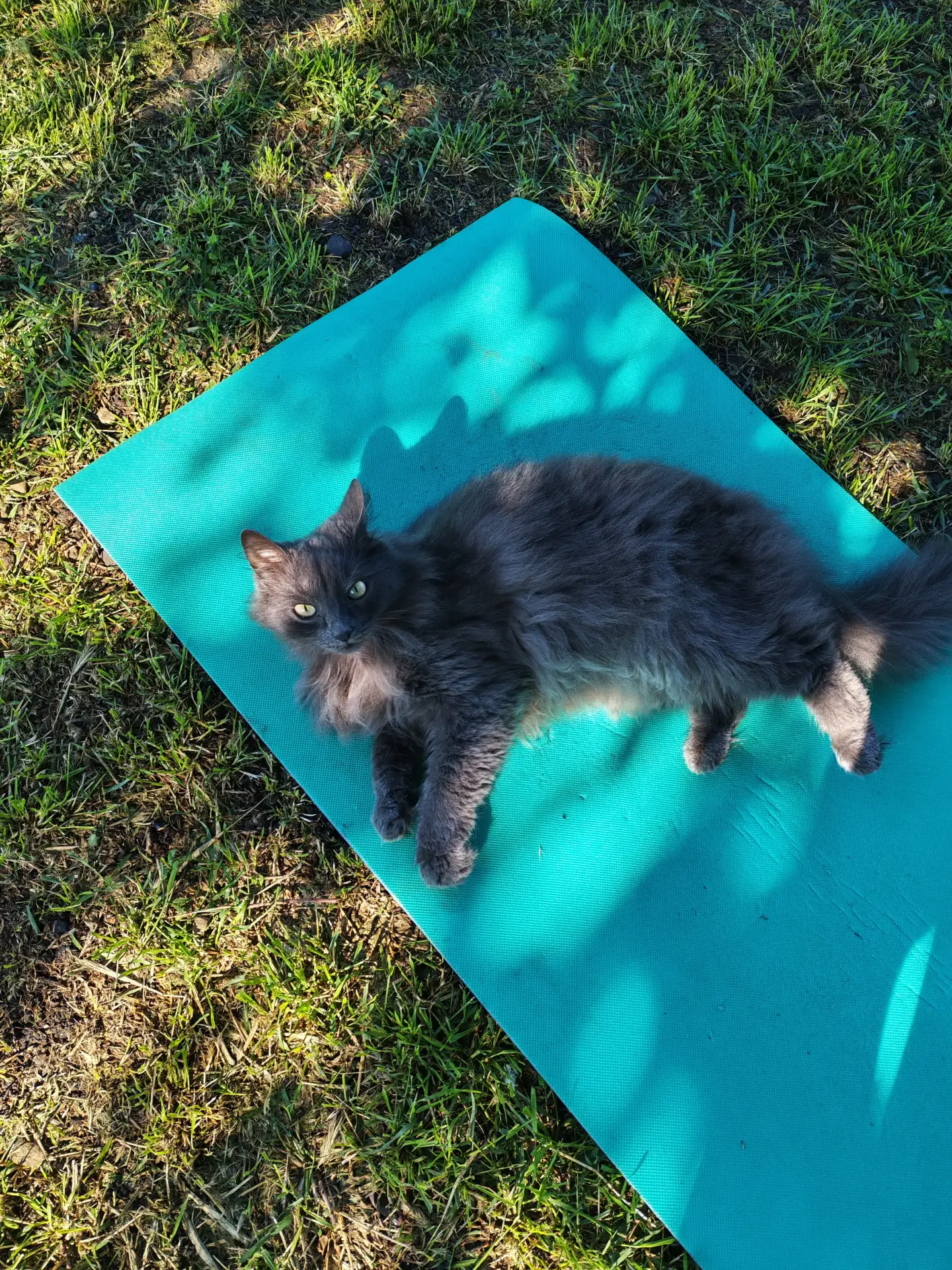 Главное правильно начать своё утро☺
Котойога💫

Доброе утро, мои дорогие! ☀

Всех поздравляю с празд