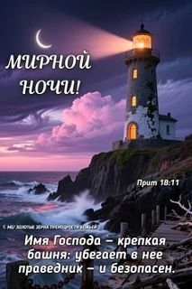 Спокойной и мирной ночи, мои хорошие! 😴🌙