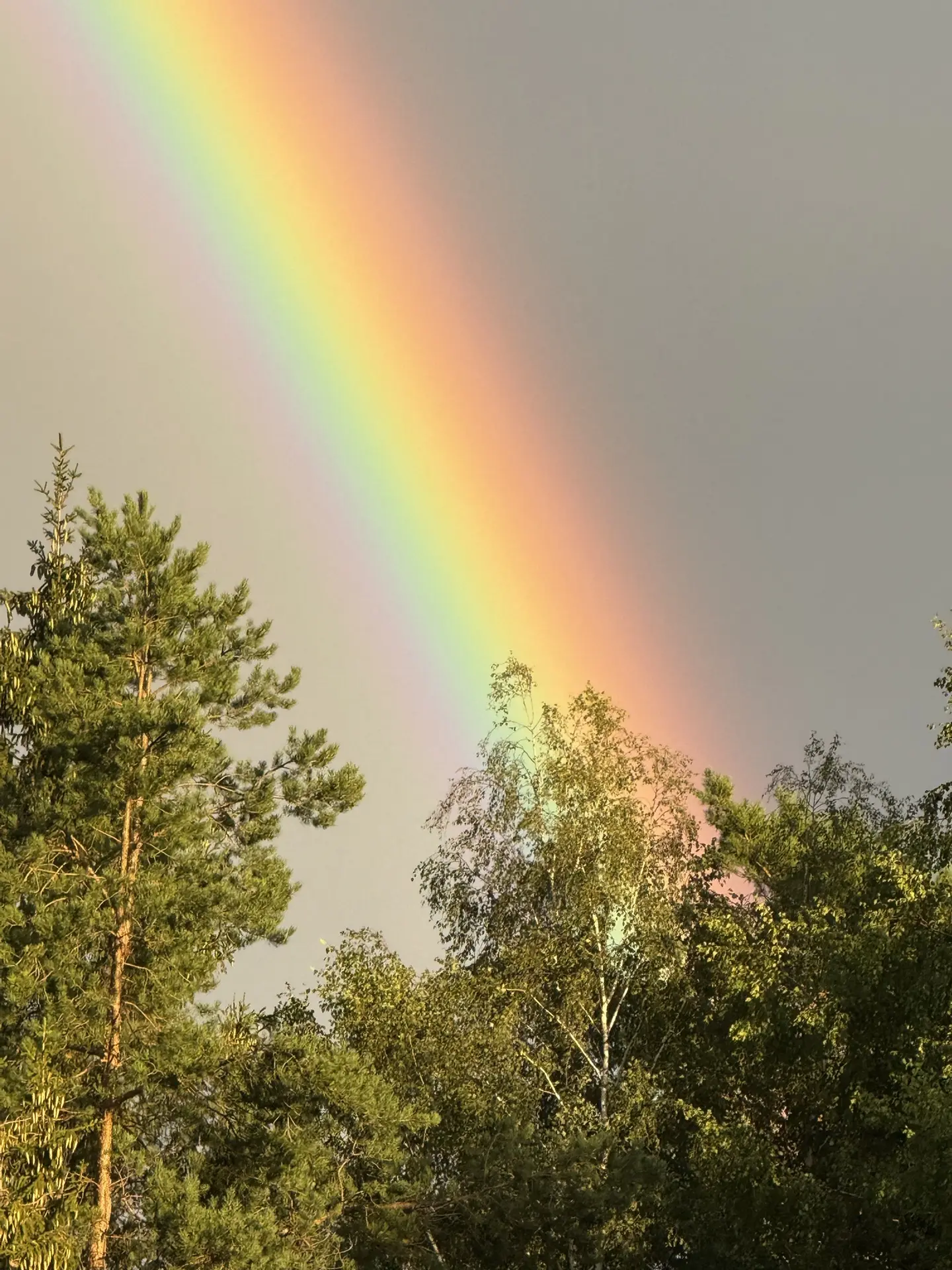 Когда за окном дождик…⛈️🥒