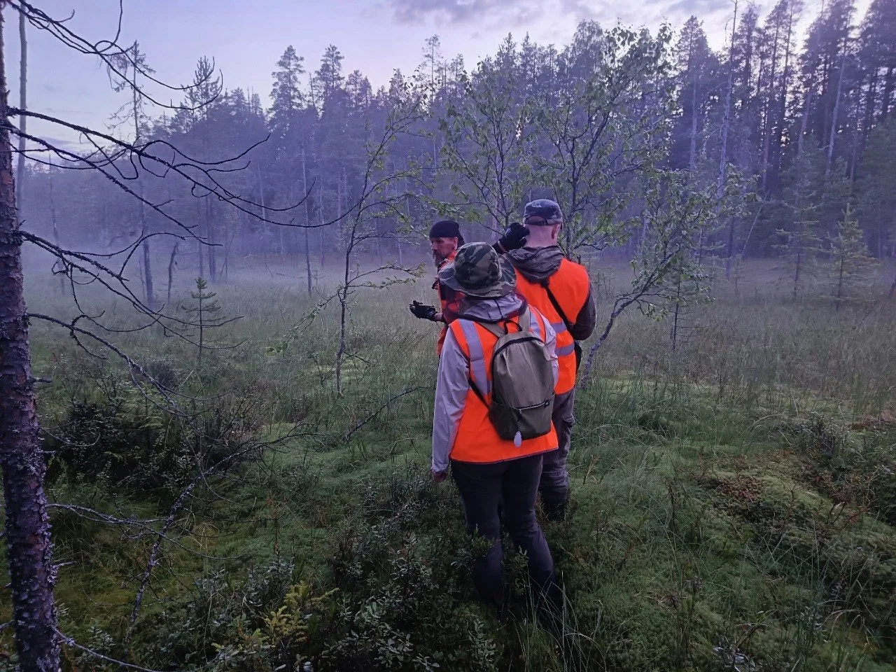 Любителя морошки нашли после двух суток в лесу.
