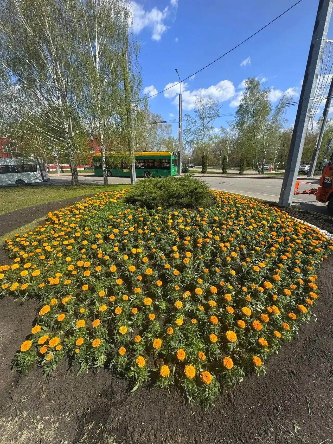 Ярких красок вам в ленту! В городе разбили первые клумбы, которые радуют глаз своей красотой.  Особо