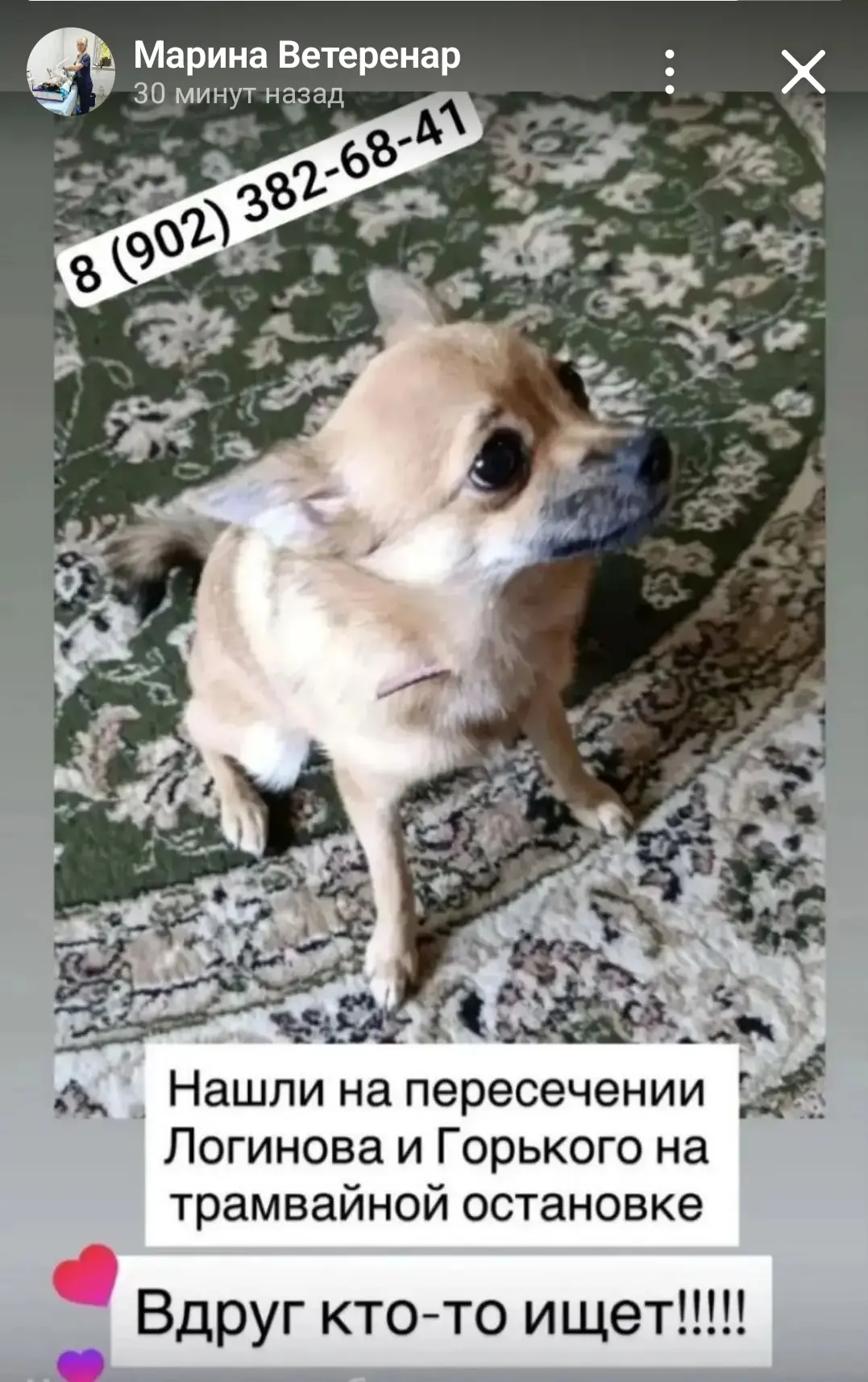 Дома 🏘️