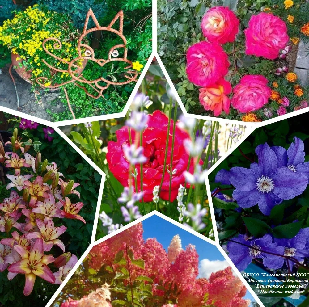 Фото
