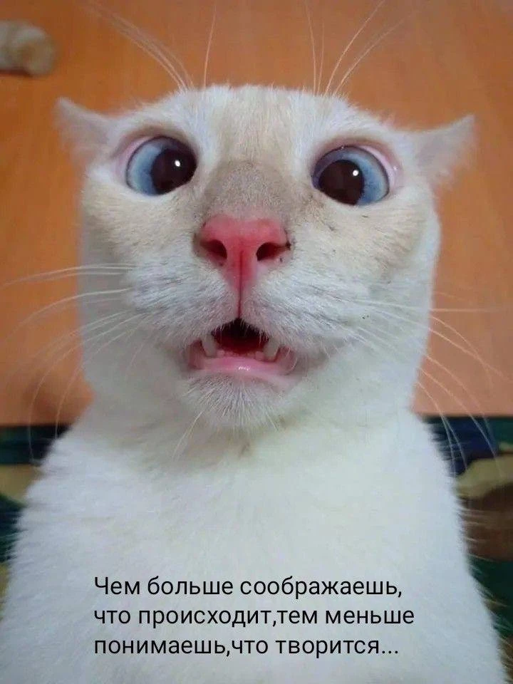 Я вижу свет в конце гидрофильного тоннеля))) Продолжу отвечать на ваши вопросы.  5. Молочко, двухфаз