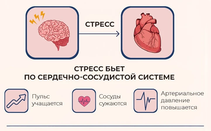 Стресс и его влияние на организм