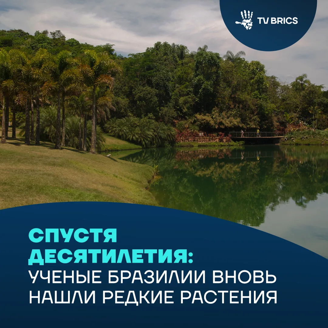 🇧🇷🌱 В Бразилии вновь нашли растения, считавшиеся исчезнувшими десятилетиями