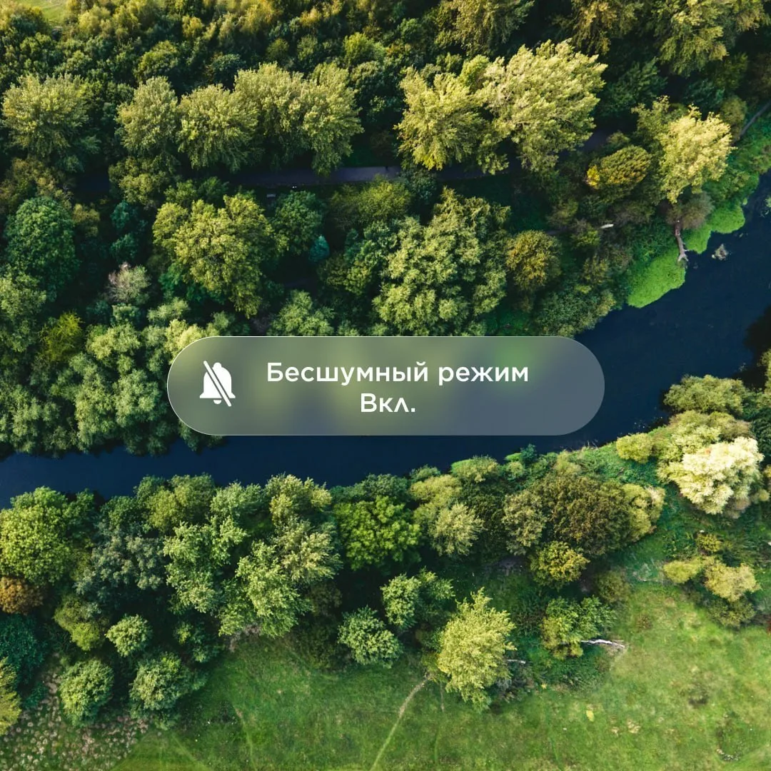 Включаем режим «Не беспокоить»

Иногда лучший план на выходные — оказаться там, где не нужно никуда 
