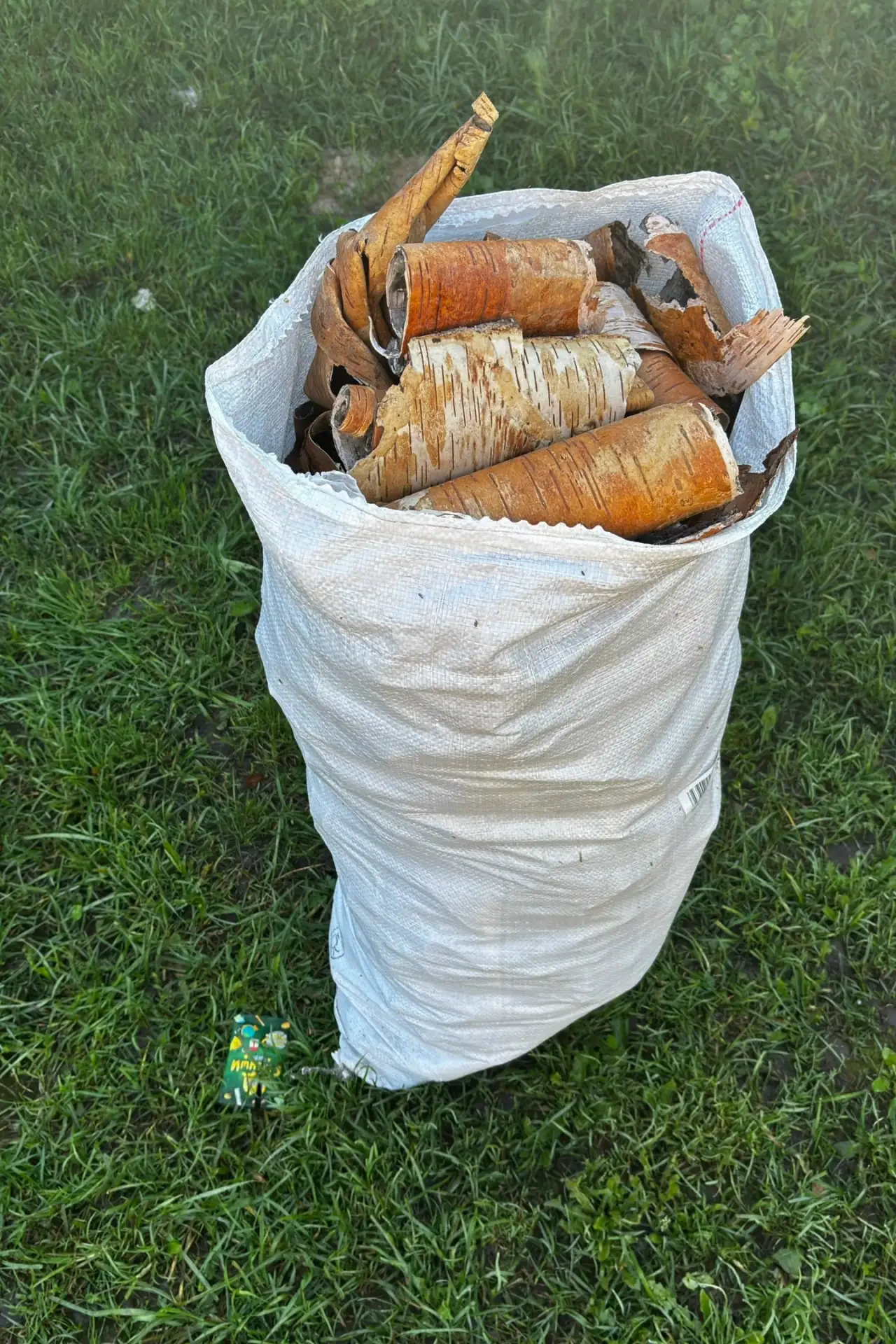 Продам бересту