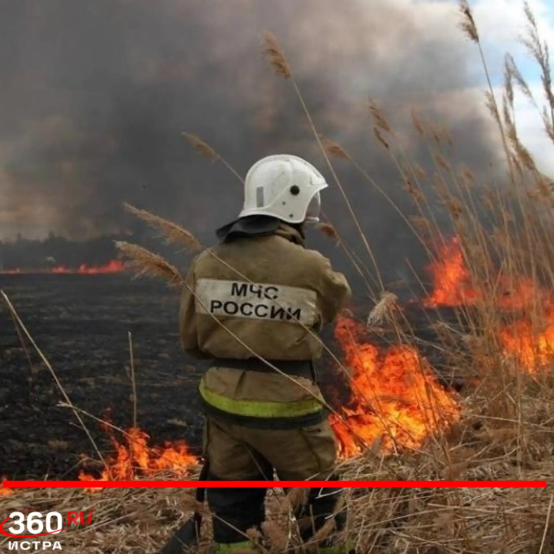 В лесах Подмосковья до 11 июня повысили класс пожарной опасности❗️

Из-за жары с 9 по 11 июня в реги