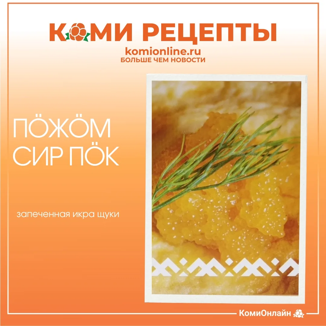 🍽️КОМИ РЕЦЕПТЫ 

Пöжöм сир пöк — запечённая икра щуки

Нежная, румяная и очень северная история. Ик