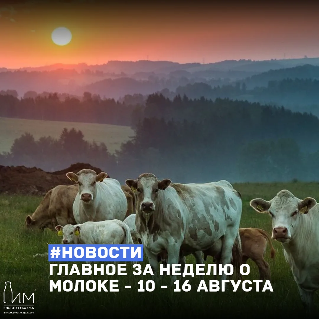 ⚡️ Главное за неделю о молоке: 10–16 августа 2026