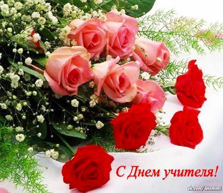 Дорогие и уважаемые Учителя, ветераны педагогического труда!