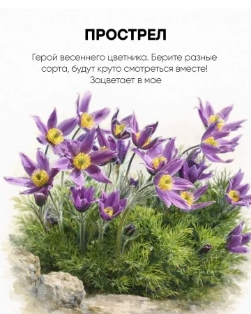 Есть два типа дачников. Первые приезжают на участок с рассветом, таскают вёдра, полют, ...