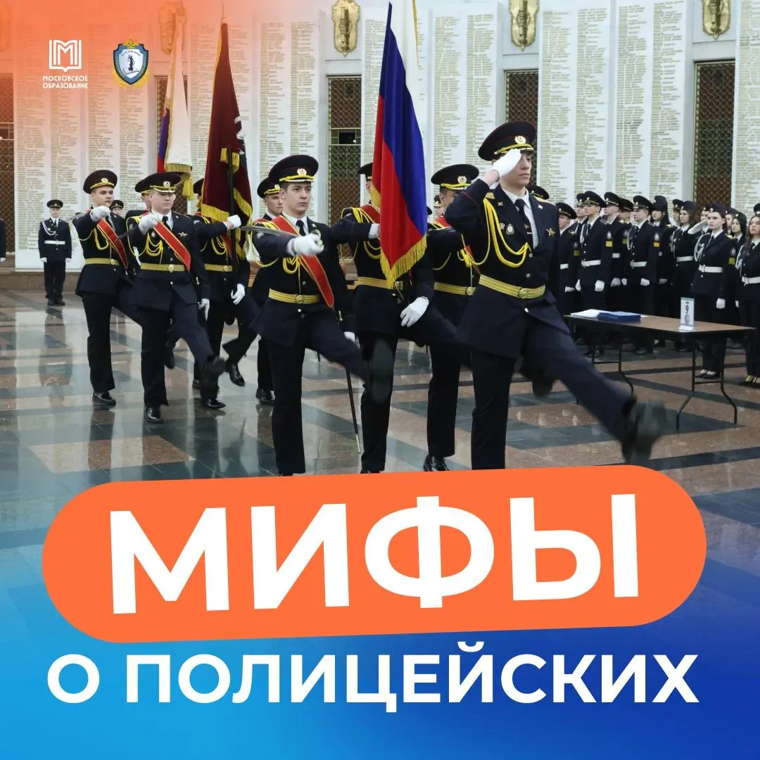 👮‍♂️ В кино работа полиции — погони и экшен, а в жизни?