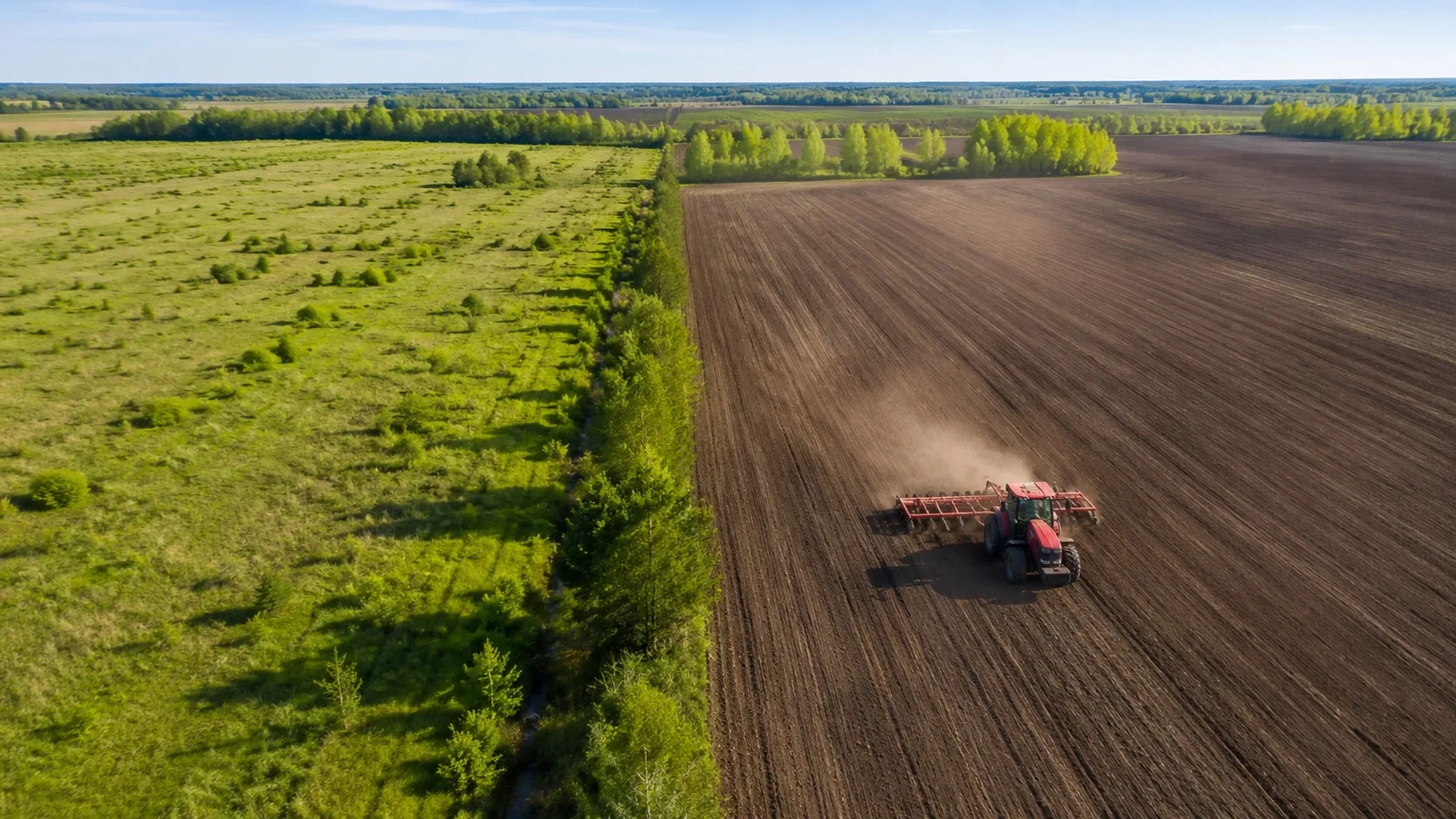 🌾 Цифра, которая заставляет задуматься.