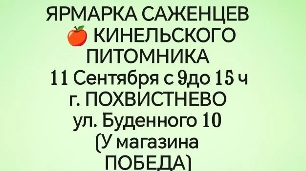 ✅ 11 Сентября (Пятница) с 9 до 15 ч