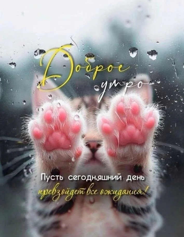 Список качественных каналов в МАХ | Подпишись!❤️