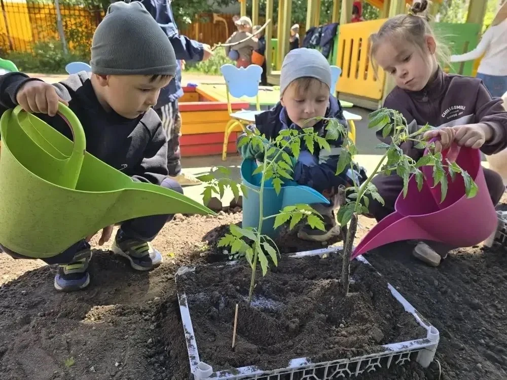 🌱 Как мы сажали огород: весенние заботы юных дачников.

Весна — время пробуждения природы и, конечн
