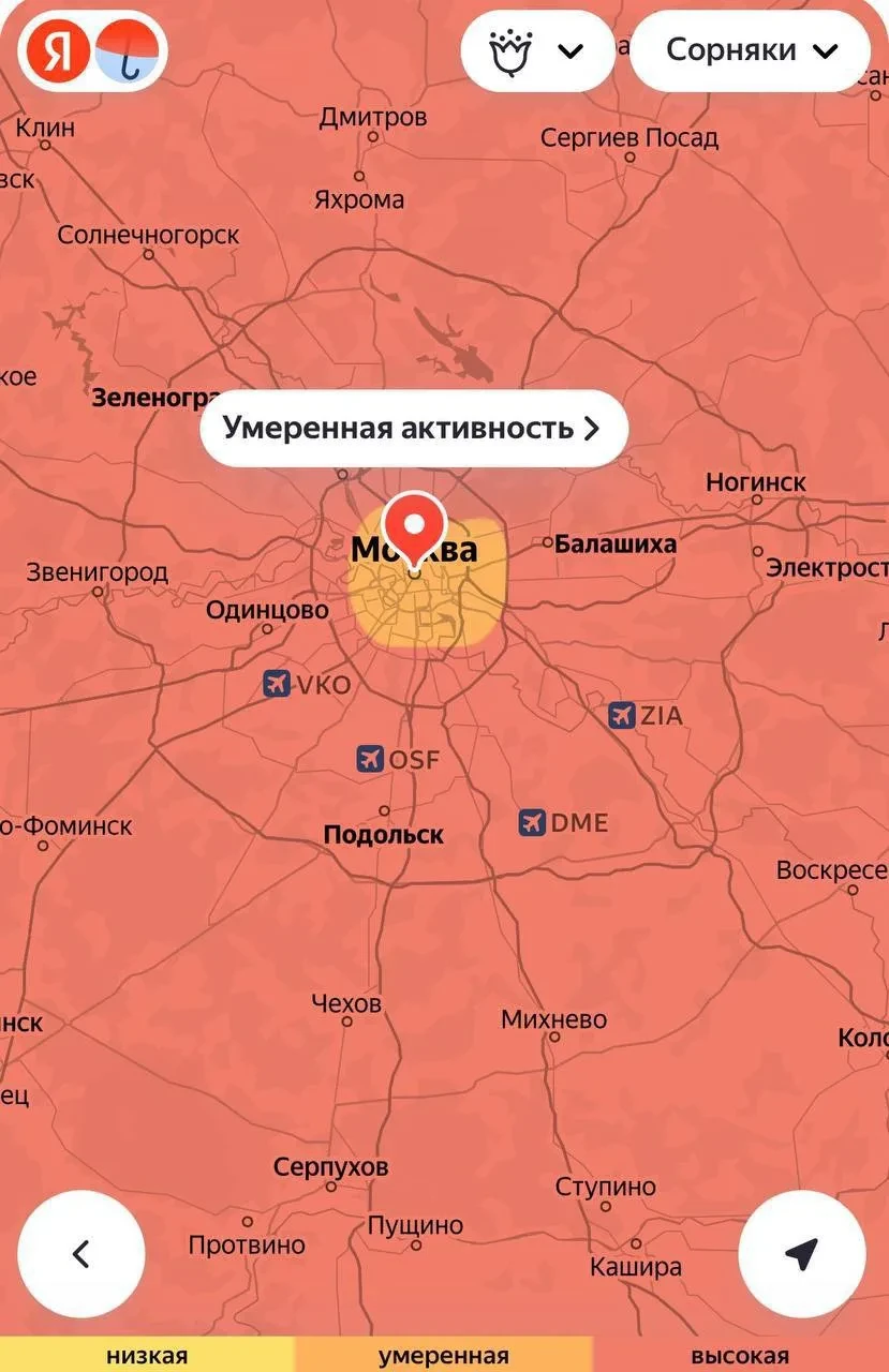 🤧 Аллергикам сейчас несладко