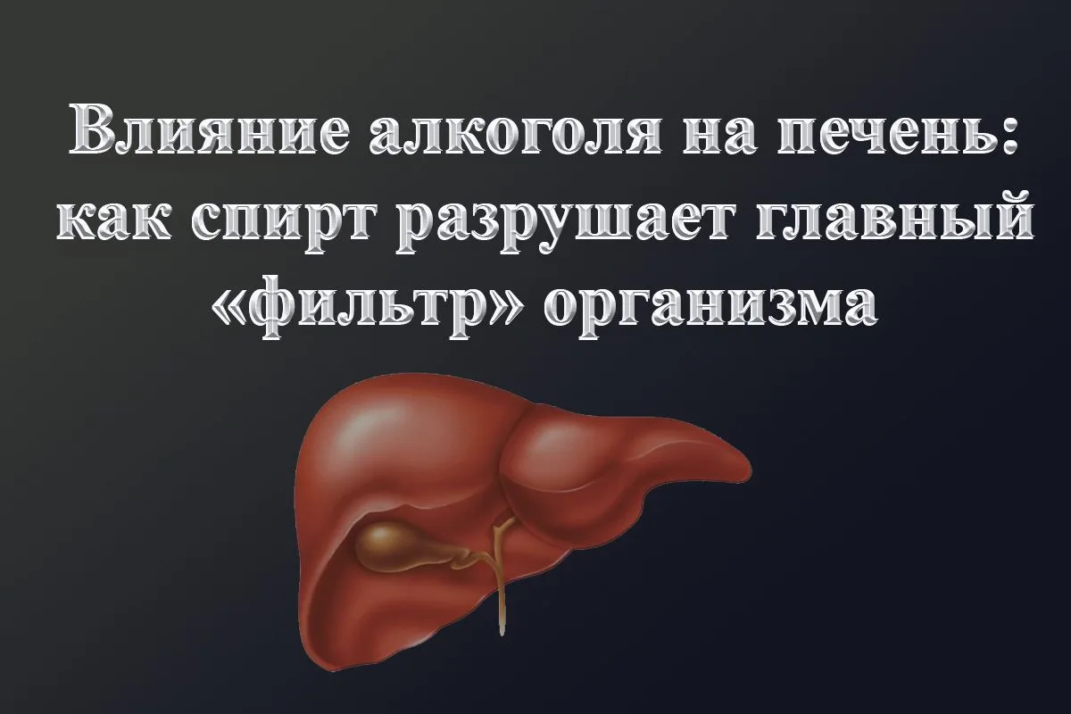 ℹ️ Печень перерабатывает до 90 % этанола — и платит за это здоровьем. Увы, безопасной д...