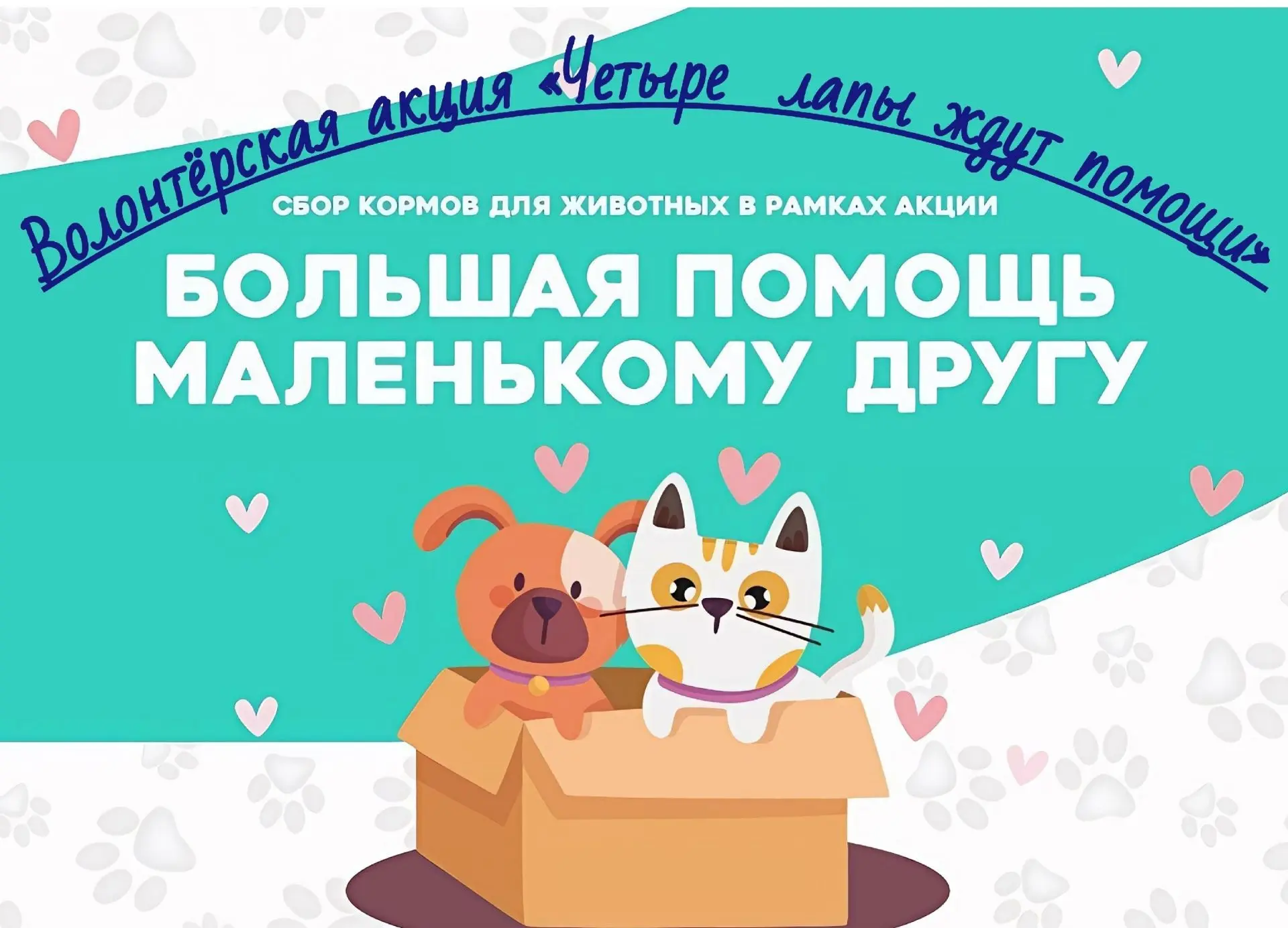 ‼️Уважаемые родители! Приглашаем вас принять участие в волонтёрской акции "Четыре лапы ...