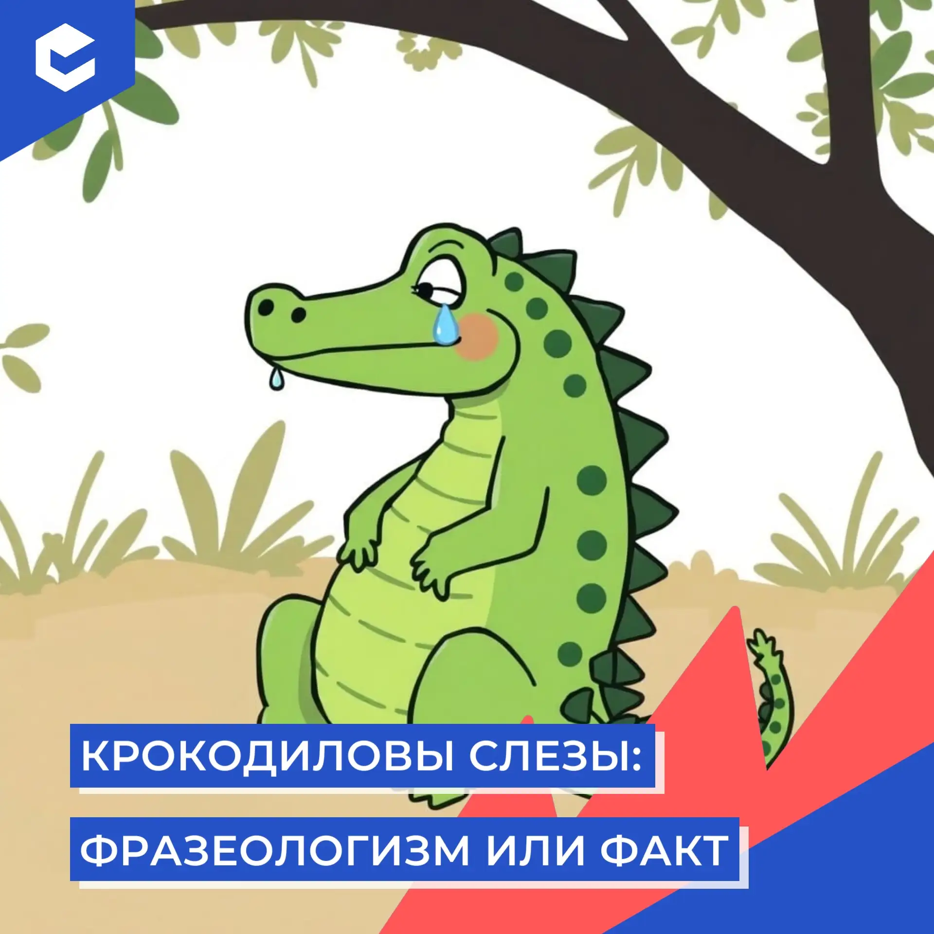 «Крокодиловы слёзы» — фразеологизм, который означает фальшивое, неискреннее выражение э...