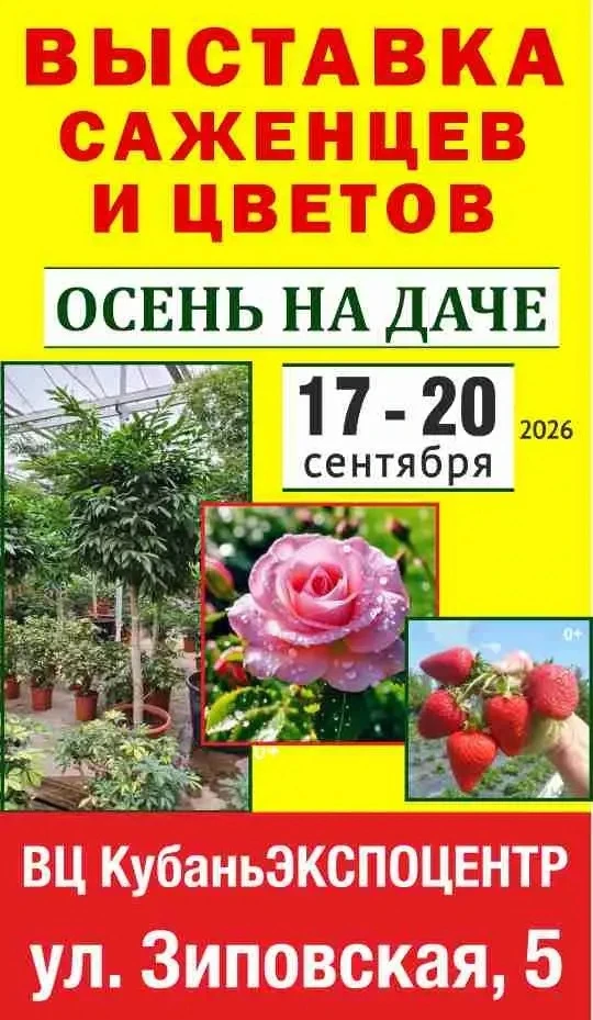 Всего 2 недели до нашей встречи ☘️☘️☘️☘️☘️