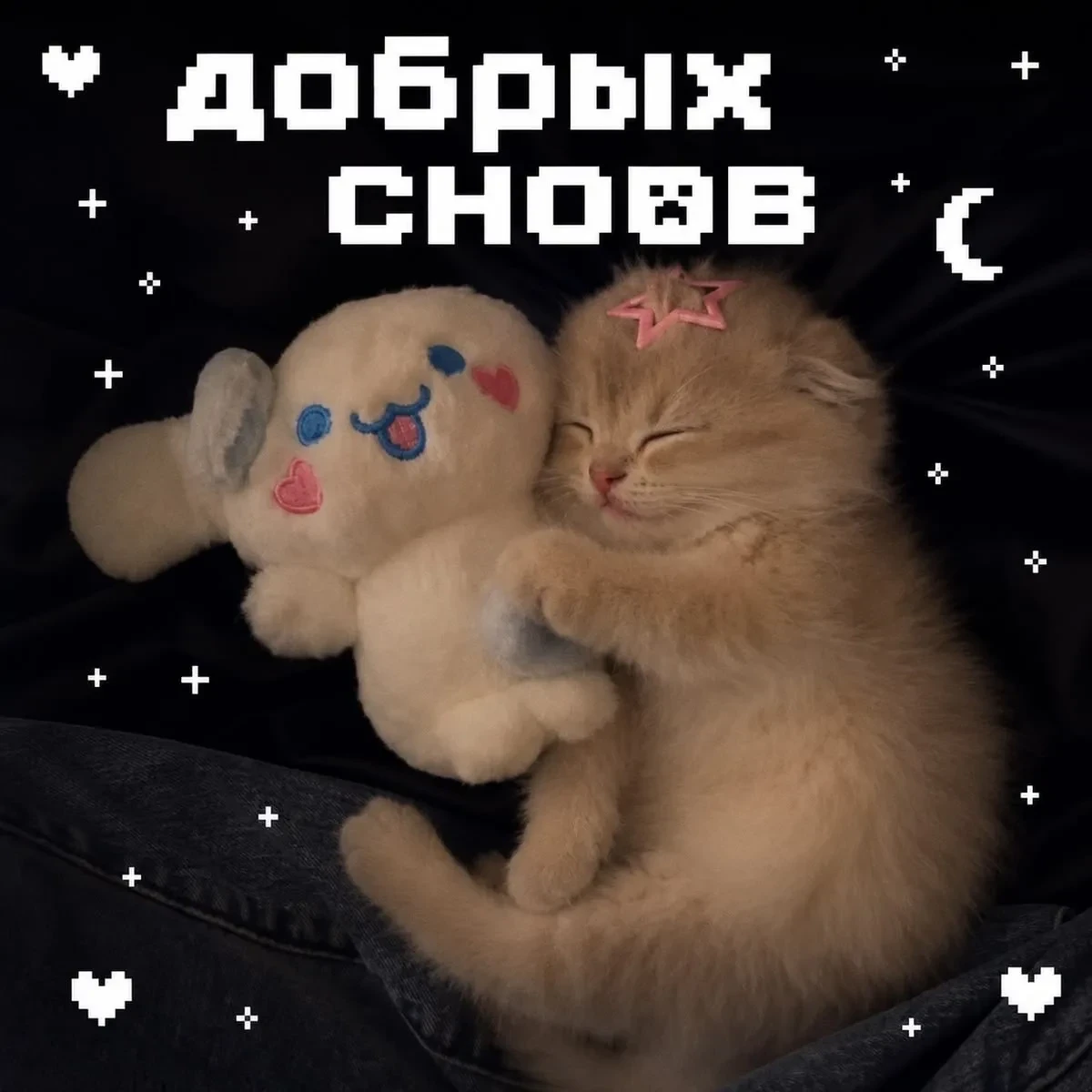Девчачьи мемы 👑