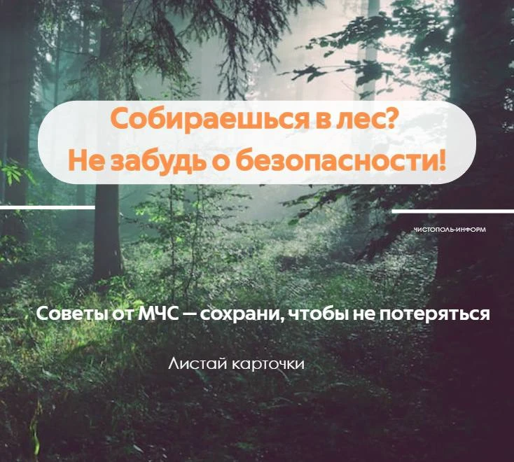 🌲 5 карточек МЧС, которые стоит открыть до похода в лес