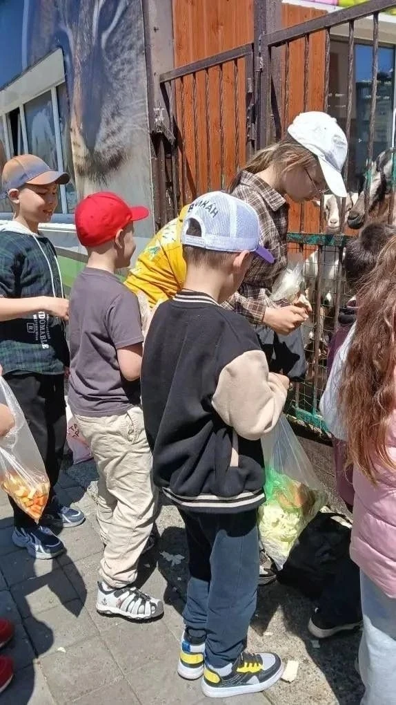 В гостях у зверей: наши ребята посетили Елизовский зоопарк! 
⁣
💫Воспитанники пришкольного лагеря от