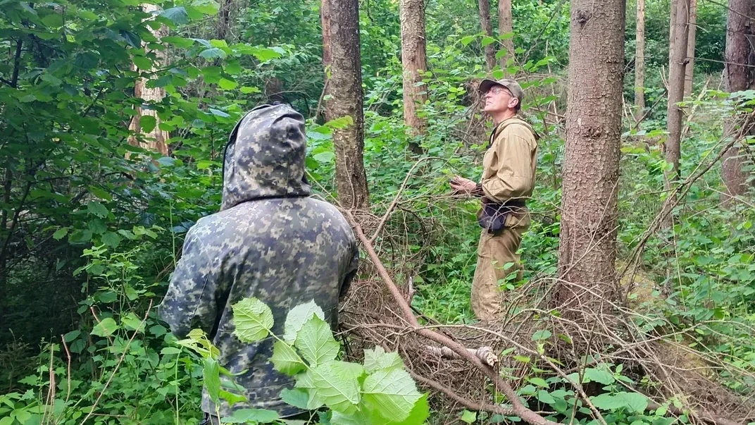🌲 Назарьевский лес проверяют под санитарку