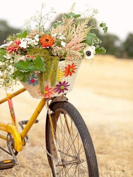🚲 Лето - лучшее время для велосипедных прогулок!

Тёплая погода, длинный световой день и любимые ма