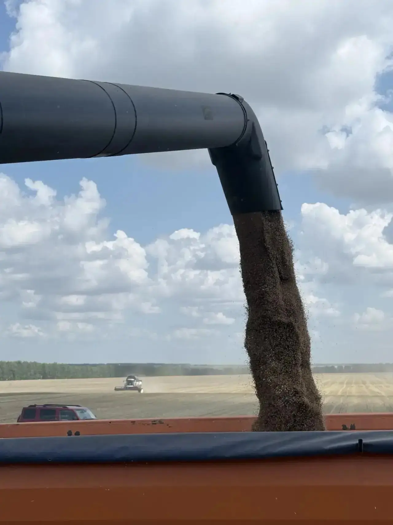Уборочная кампания в нашем районе в самом разгаре!