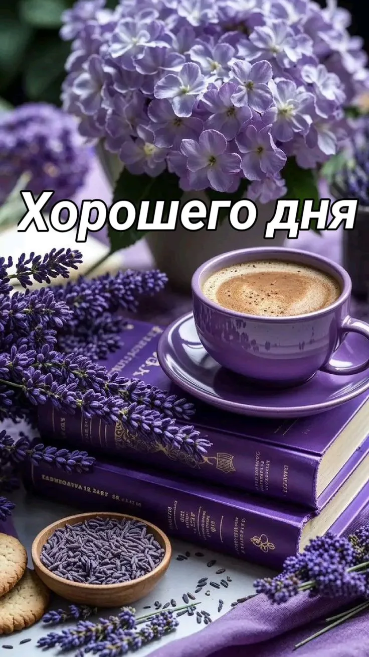 Подпишись 👇
Твои открытки • Открытки • Доброе утро • С днём рождения • Спокойной ночи