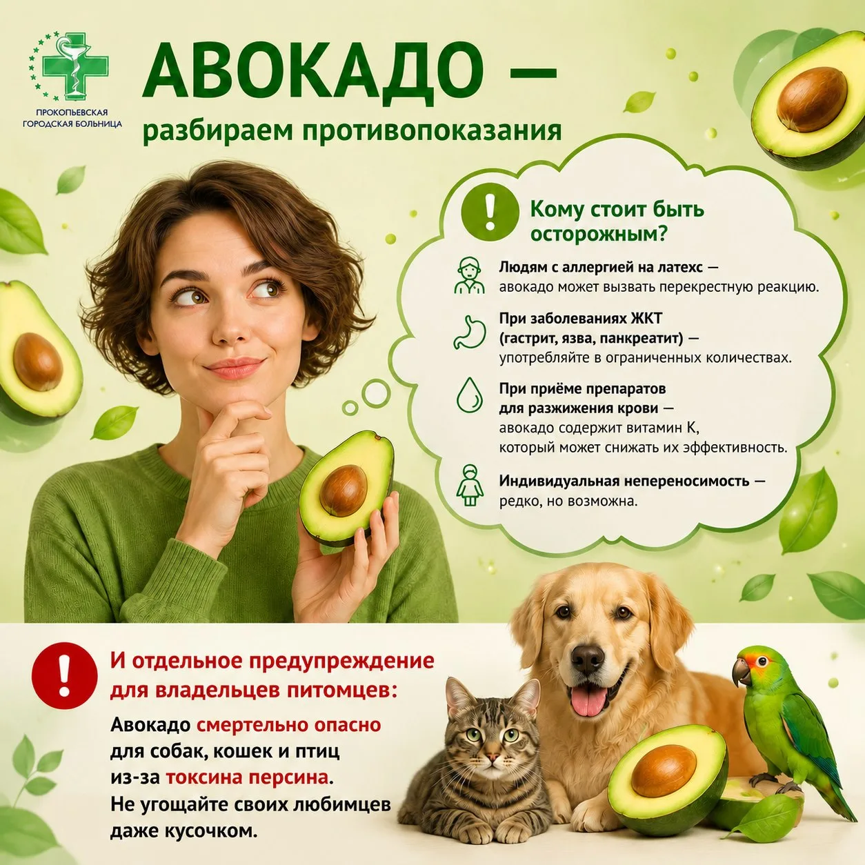 🥑 Кому авокадо — друг, а кому — враг?