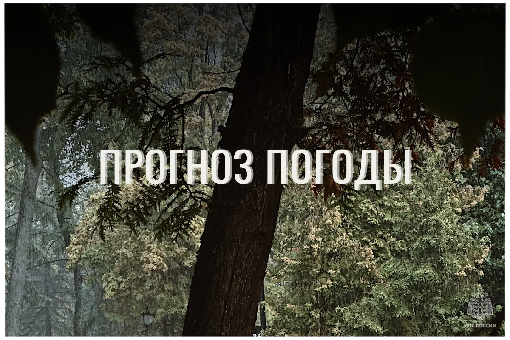 ⛅По данным ЦГМС, 6 сентября в регионе прогнозируется облачная погода с прояснениями.