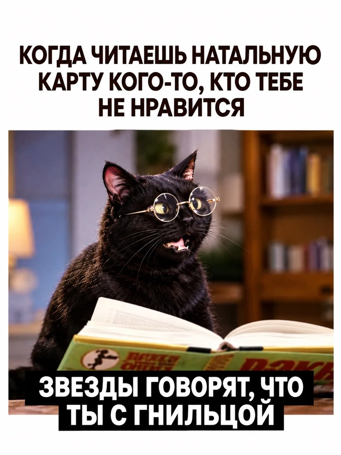 #Минуткаюмора