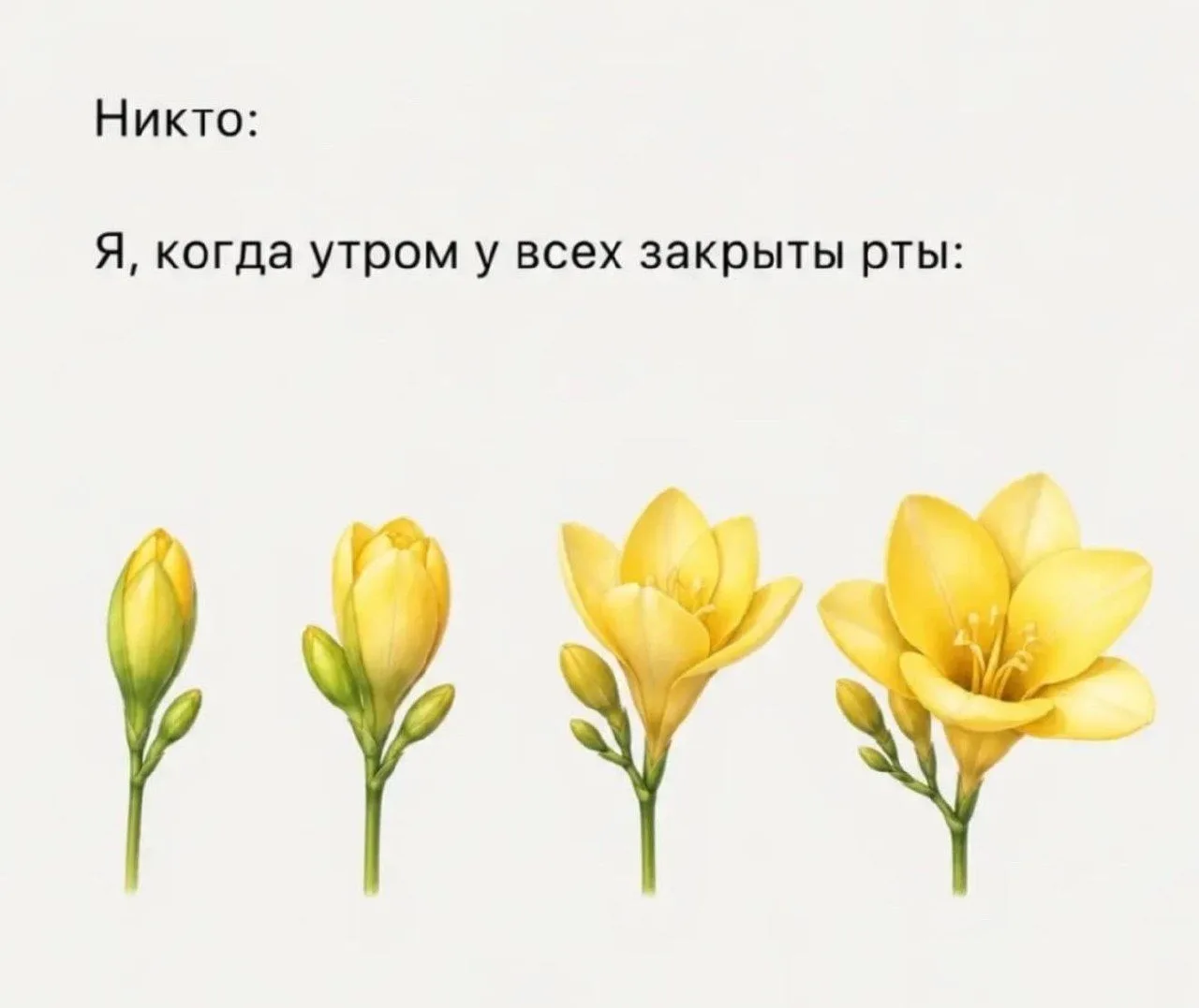 Ставь лайк! ❤️