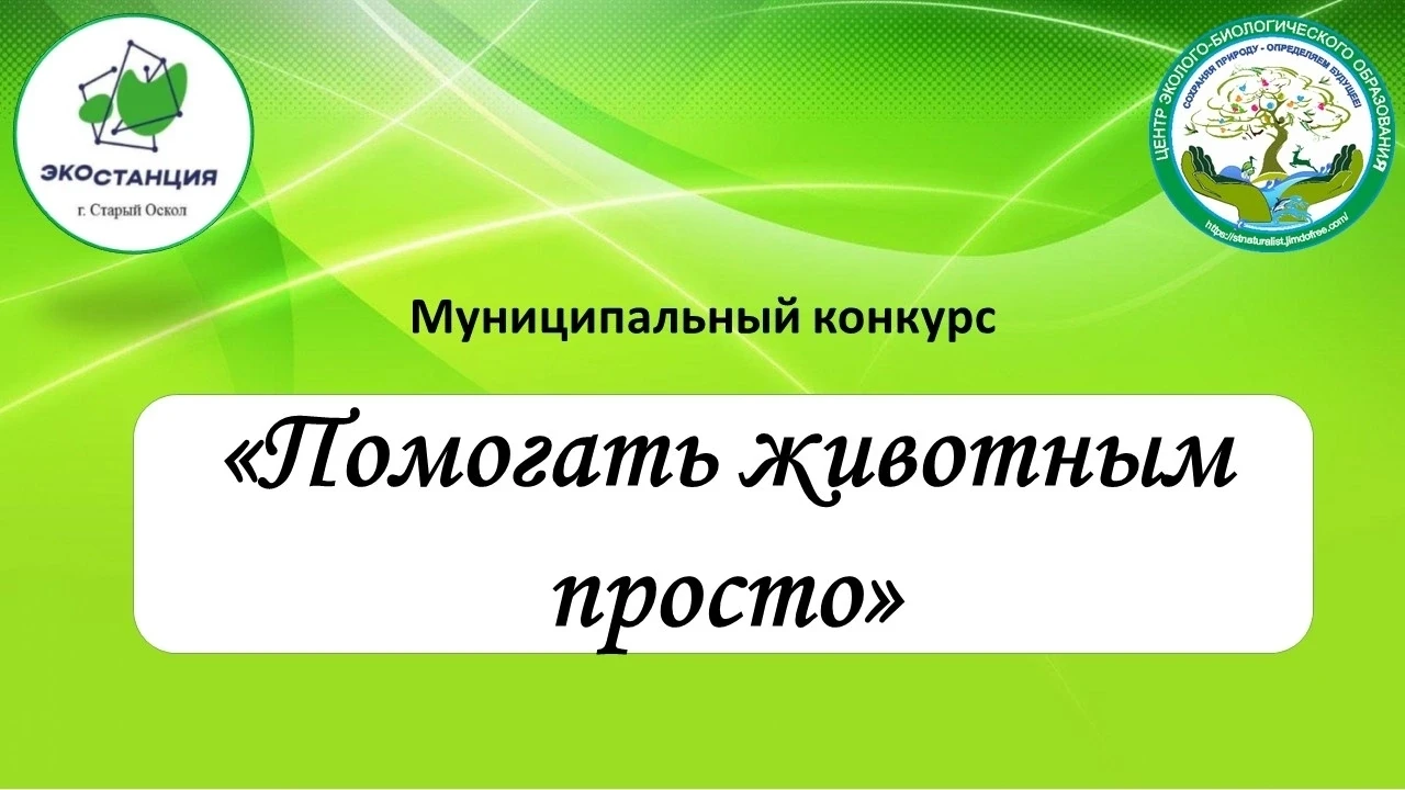 📢Внимание, друзья! С 01 октября по 30 октября 2026 года состоится муниципальный конкур...