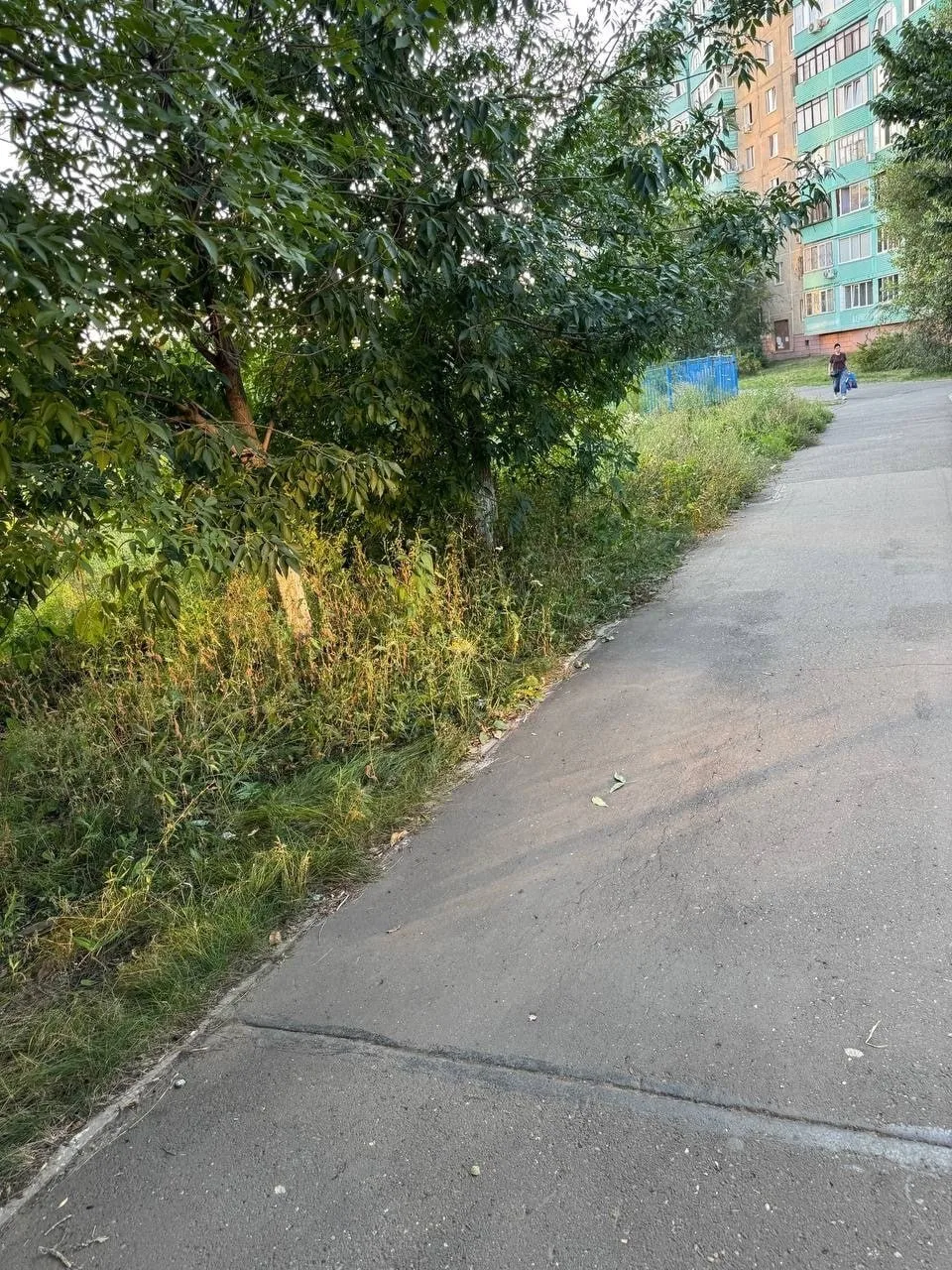В Оренбурге детская площадка на ул. Липовой пришла в упадок