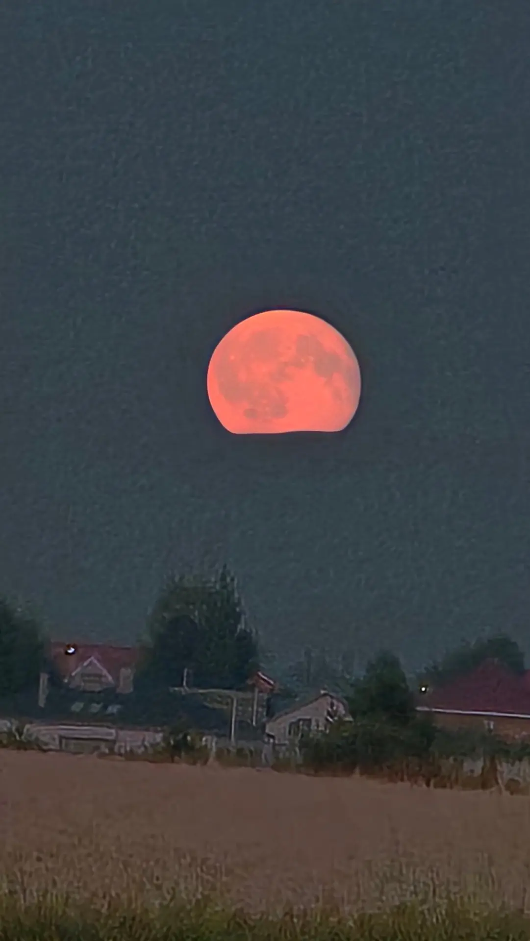 ⚡️🔴 ОГРОМНЫЙ РОЗОВЫЙ ГИГАНТ НАД ДОМАМИ! 🌕 КРОВАВАЯ ЛУНА