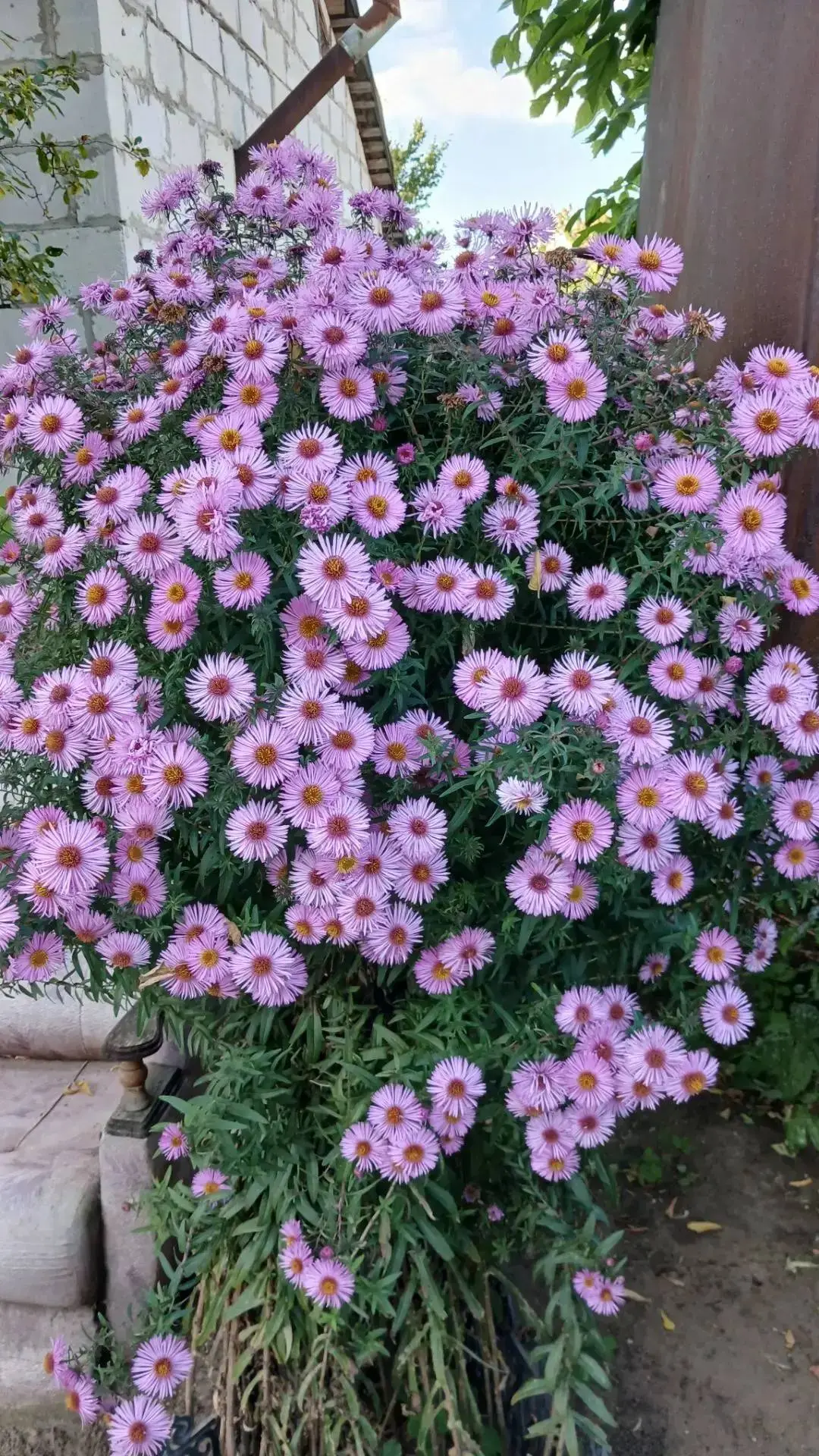 Ну разве это осень ,это лето самое настоящее😘