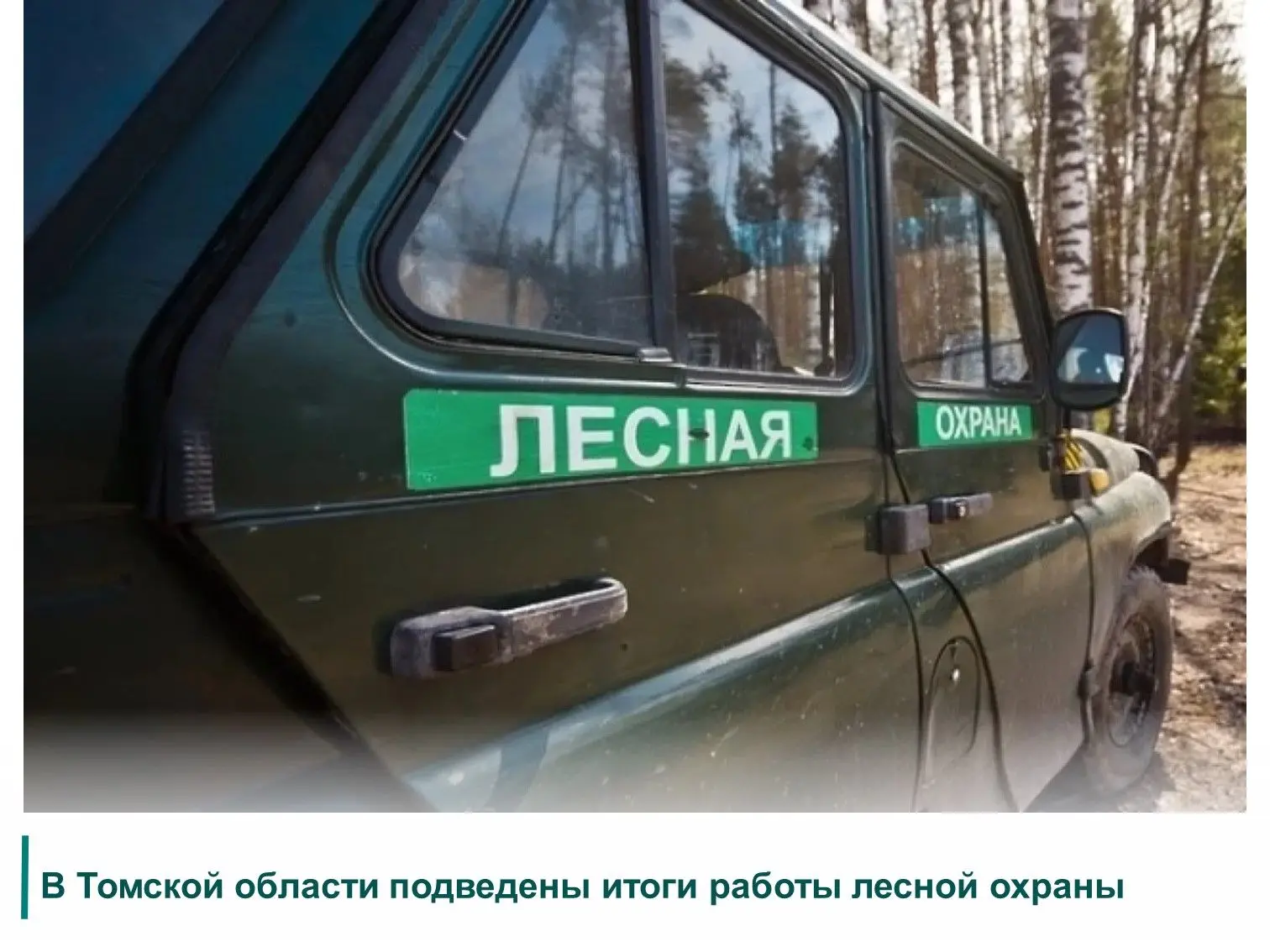 ✅Департамент лесного хозяйства Томской области подвёл итоги работы лесной охраны за пер...