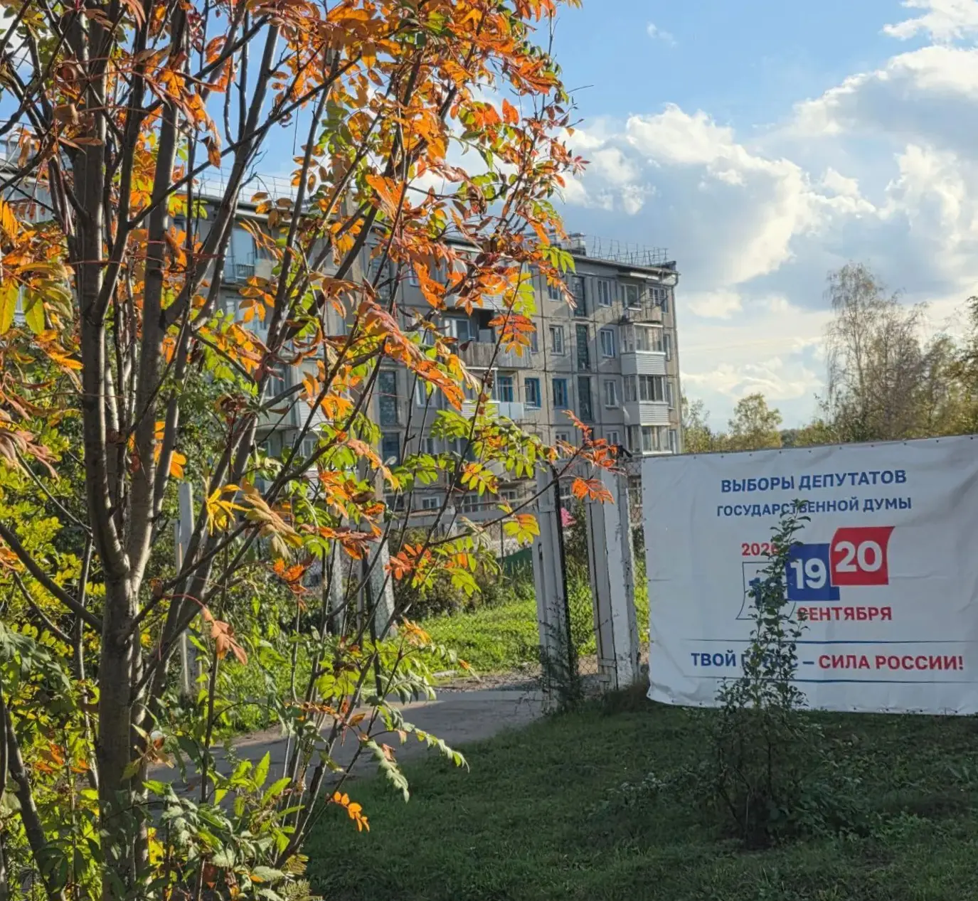 📊 В первый день голосования явка избирателей в Красноярском крае составила 22,9%