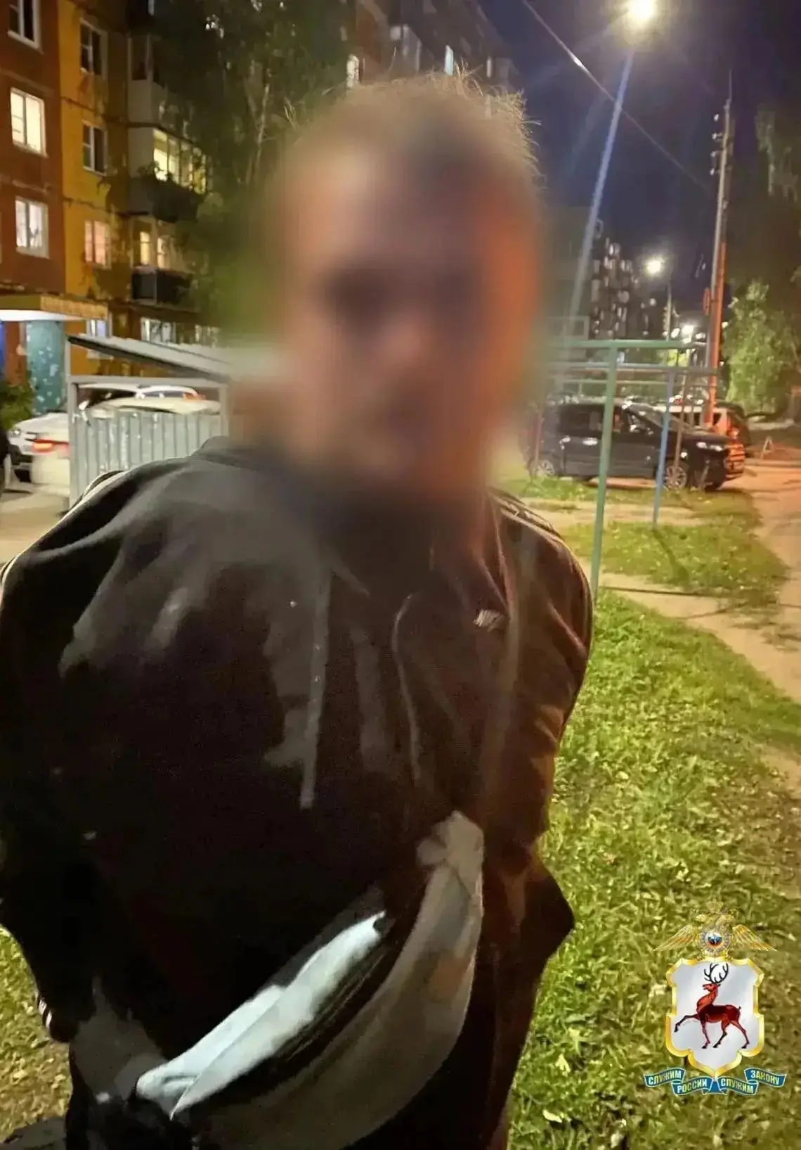 В Нижнем Новгороде 29-летний парень зарезал мать и ударил сестру кирпичом по голове: же...