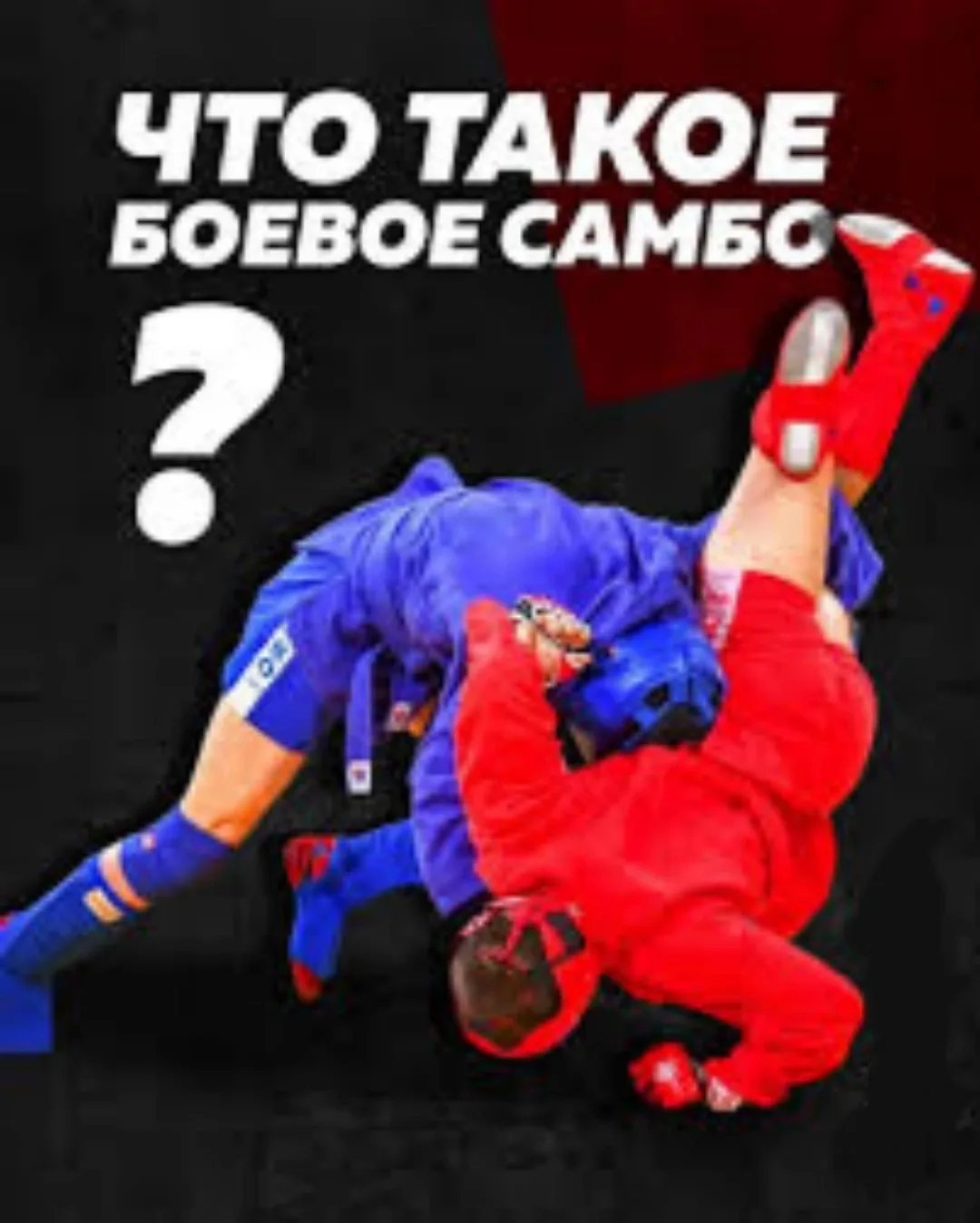 Самбо является одним из самых популярных и массовых видов единоборств, культивируемых в России. Этот